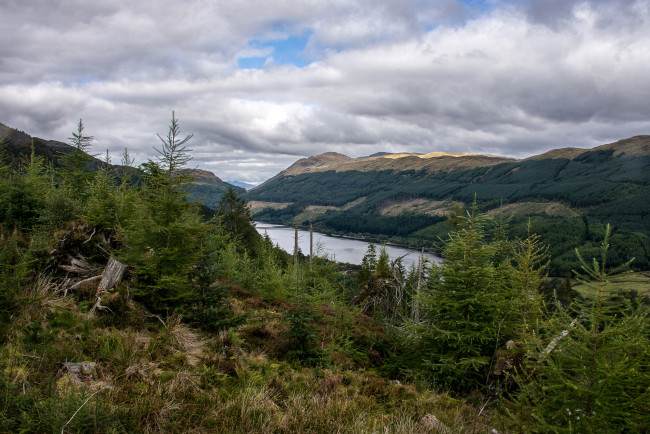 Обои картинки фото природа, пейзажи, простор