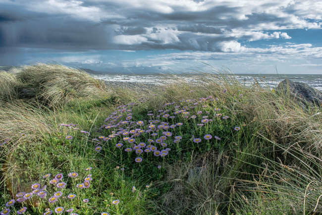 Обои картинки фото природа, побережье, простор