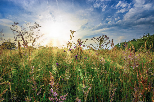 Обои картинки фото природа, восходы, закаты, простор