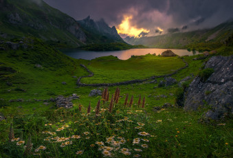 Картинка природа луга простор