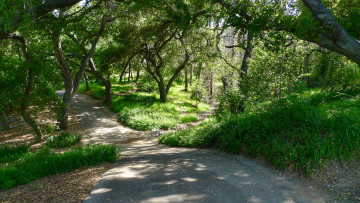 Картинка природа дороги простор