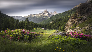 Картинка природа луга простор