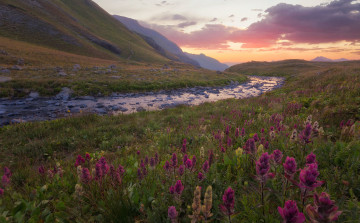 Картинка природа луга простор