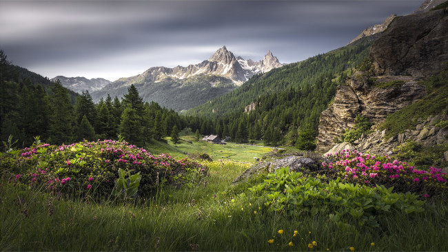 Обои картинки фото природа, луга, простор