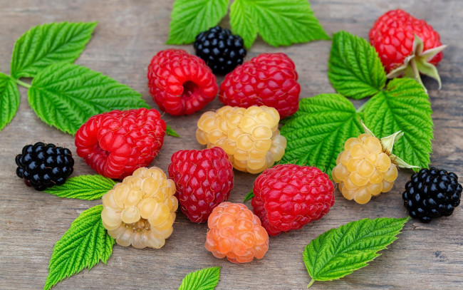 Обои картинки фото еда, малина, ягоды, спелая