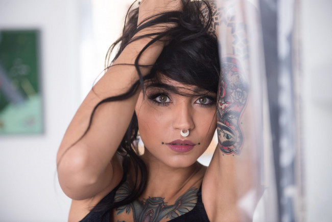 Обои картинки фото felisja piana, девушки, felisja, piana, девушка, модель, крашеная, тату, татуировка, рисунки, кожа, пирсинг, поза, макияж, причёска, красотка, сексуальная, экстравагантная, наряд