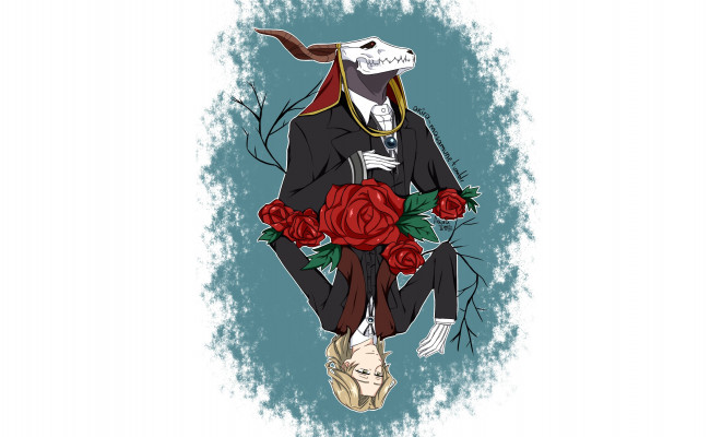 Обои картинки фото аниме, mahou tsukai no yome, невеста, чародея