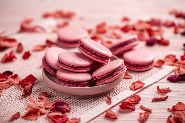 Обои картинки фото еда, макаруны, лакомство, печенье