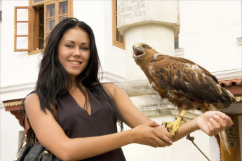 Картинка macy+breham девушки macy+breham+ macy+b macy breham птица хищник девушка модель брюнетка красотка поза флирт стройная сексуальная фигура