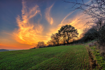 обоя природа, поля, небо, облака, лес, поле