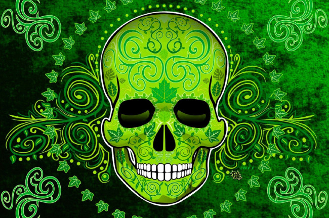 Обои картинки фото векторная графика, -графика , graphics, череп, орнамент, листья, плющ