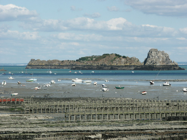 Обои картинки фото 