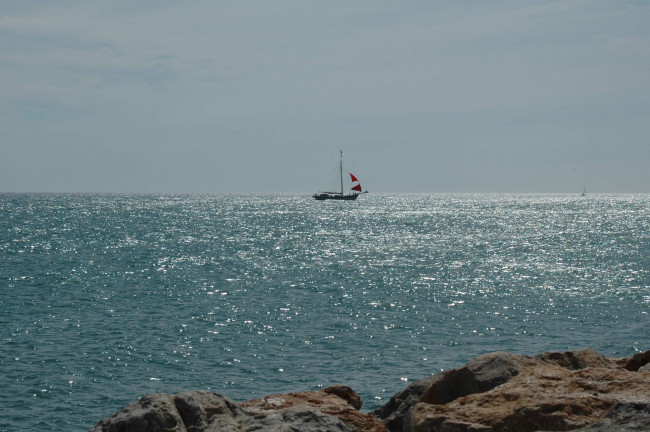 Обои картинки фото природа