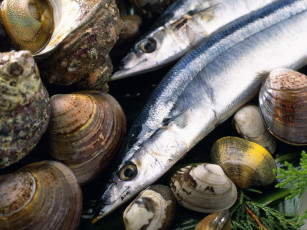 Картинка еда рыба морепродукты суши роллы