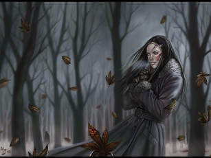 Картинка aly fell фэнтези девушки