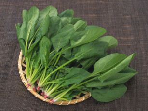 Картинка еда капуста её разновидности