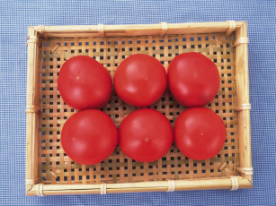 Картинка еда помидоры томаты