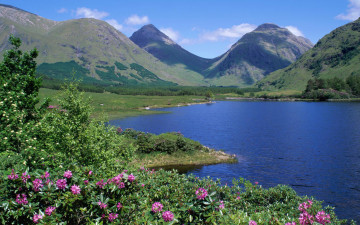 Картинка природа