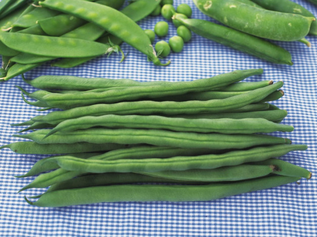 Обои картинки фото еда, бобовые