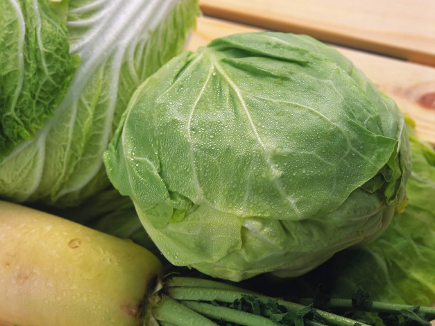 Обои картинки фото еда, капуста, её, разновидности