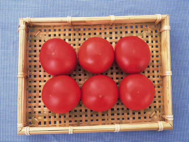 Обои картинки фото еда, помидоры, томаты