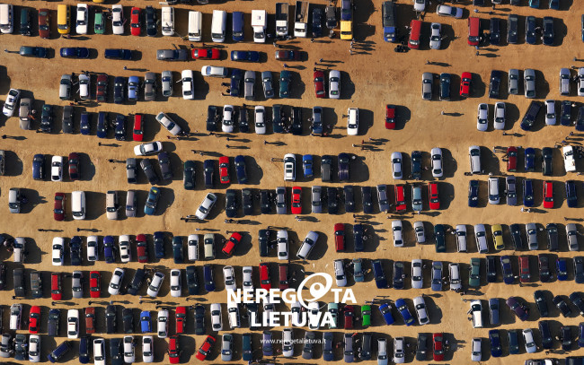 Обои картинки фото автомобили, разные, вместе