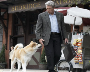 Картинка hachiko dogs story кино фильмы