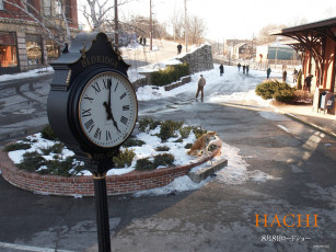 обоя hachiko, dogs, story, кино, фильмы