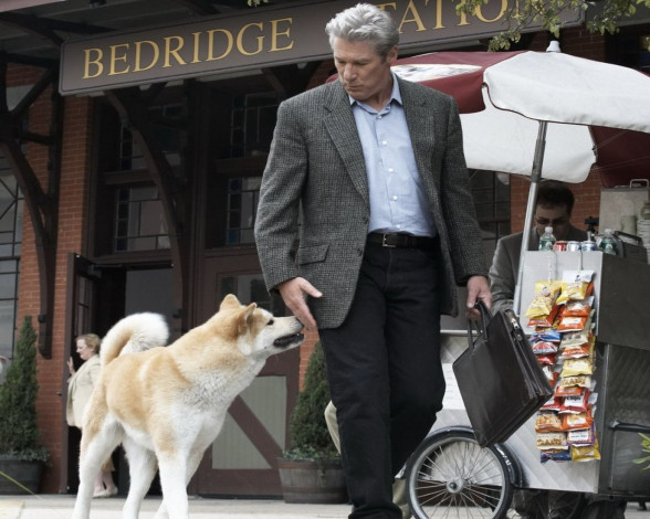 Обои картинки фото hachiko, dogs, story, кино, фильмы