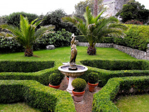 Картинка природа парк фонтан пальма