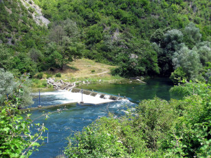 Картинка природа реки озера лето лес река