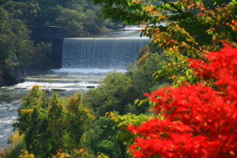 Картинка природа реки озера деревья пес река каскад