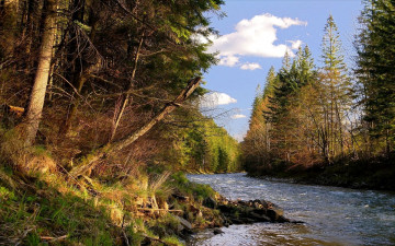 Картинка природа реки озера украина ивано-франковская область река лимница