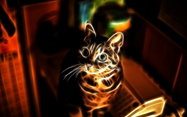 Обои картинки фото 3д, графика, animals, животные, кошка