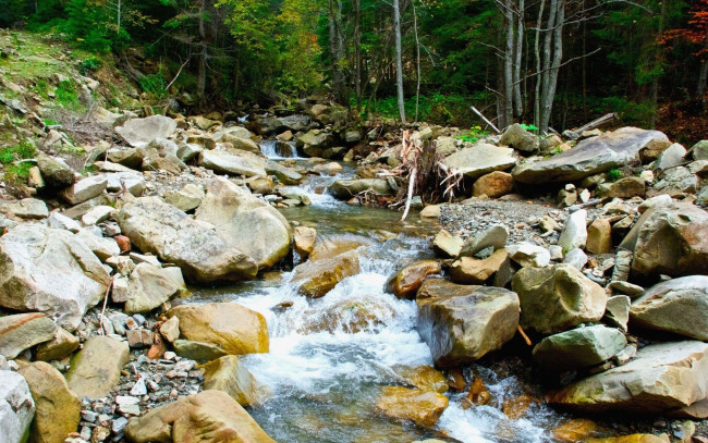 Обои картинки фото природа, реки, озера, украина, надворнянский, район, урочище, бредулець, ручей