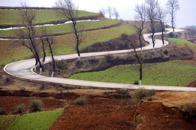 Обои картинки фото природа, дороги, поля, дорога, деревья, осень