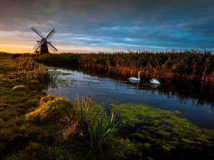 Картинка herringfleet suffolk england животные лебеди херрингфлит саффолк англия мельница речка камыши