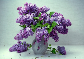 Картинка цветы сирень букет