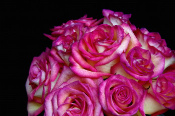 Картинка цветы розы букет