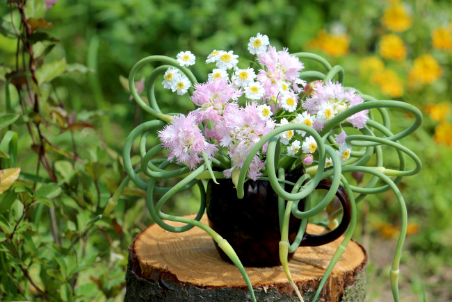 Обои картинки фото цветы, букеты, композиции, ромашки, стрелки, лук, гвоздика