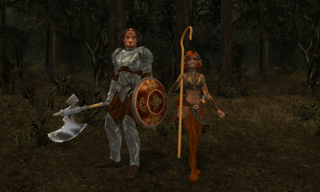 Обои картинки фото 3д графика, эльфы , elves, фон, взгляд, оружие, эльфийки