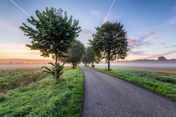 Картинка природа дороги тракт