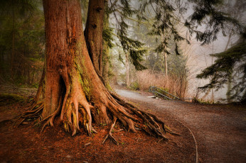 Картинка природа дороги тракт