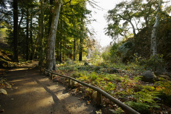 Картинка природа дороги тракт