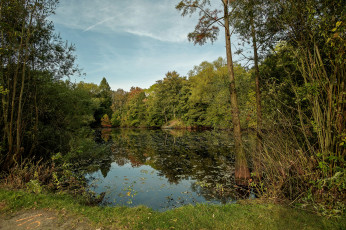 Картинка природа реки озера лес река