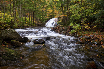 Картинка природа водопады лес река водопад