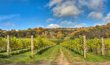 Картинка природа дороги тракт