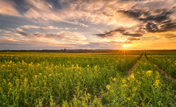 Картинка природа восходы закаты рассвет