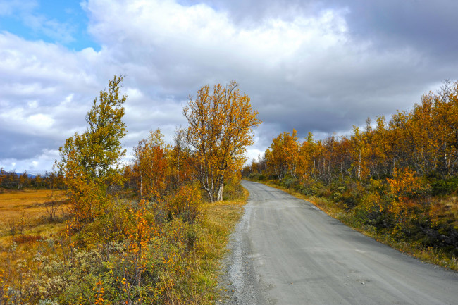 Обои картинки фото природа, дороги, тракт