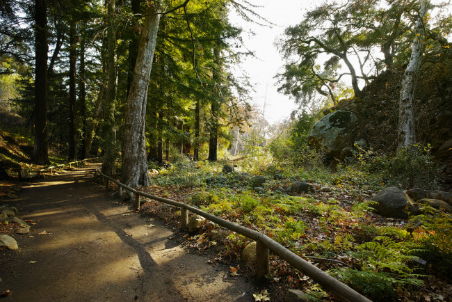 Обои картинки фото природа, дороги, тракт